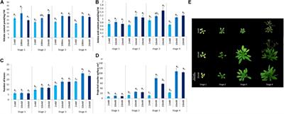 Plant Defense Stimulator Mediated Defense Activation Is Affected by Nitrate Fertilization and Developmental Stage in Arabidopsis thaliana